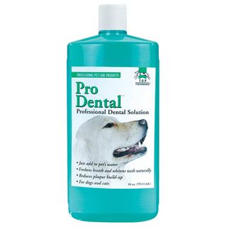 Top Performance ProDental Dental Rinse