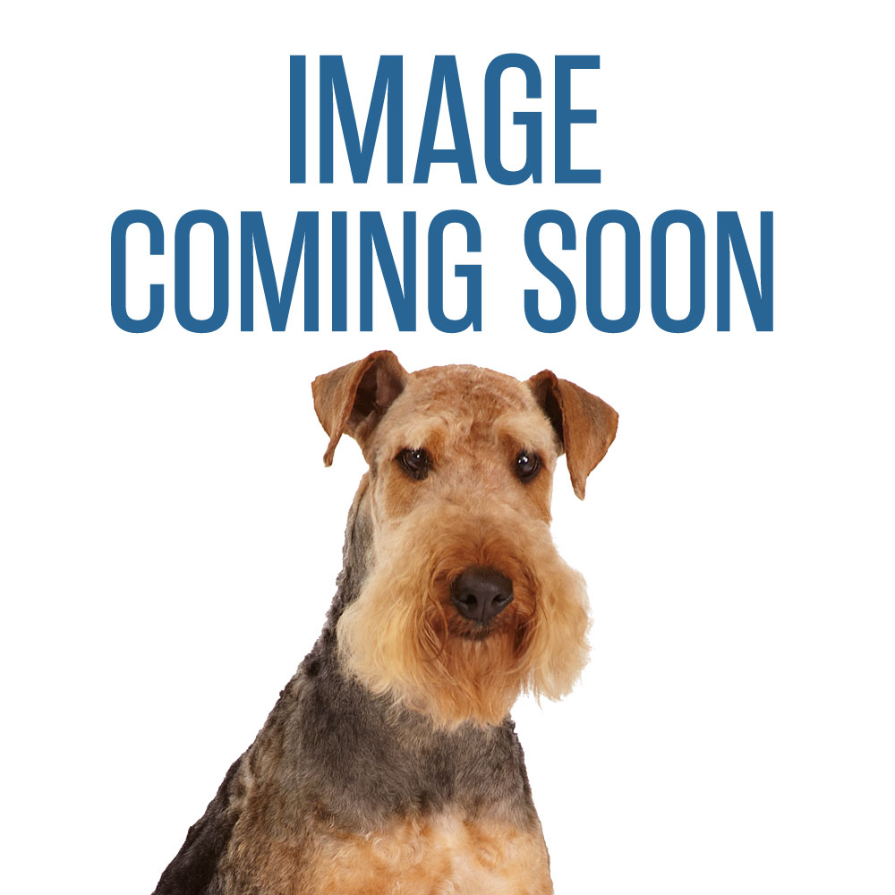 Clean Go Pet Oxy-Advanced Stain & Odor Eliminator