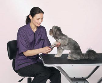 Groomer with Nail Grinder