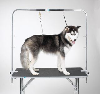 ME_OverheadGroomingArm