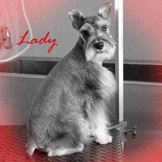 Lady After