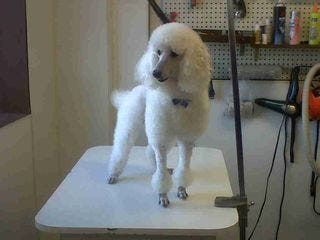 Bubba After