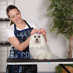 GroomerforBrandsPage[1]