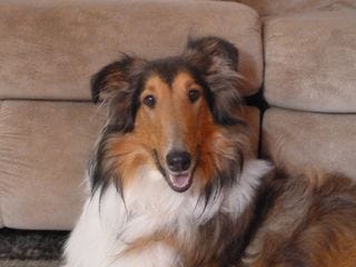 Brisby_HappyBoy