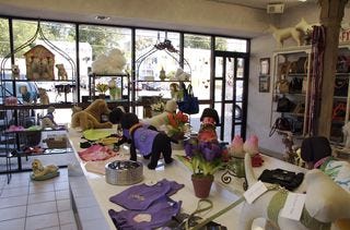 Four Paws Retail Section