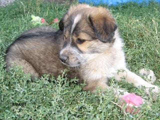 0914Hans2