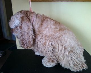 Photo04281253