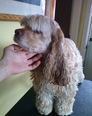 Photo04281253_2