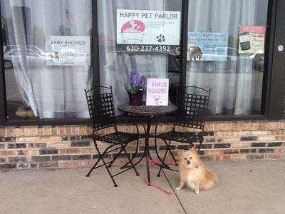 Happy Pet Parlor Outside