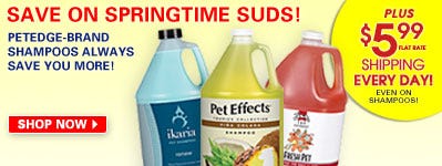 Shampoo_Promo
