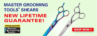 MGT_Guarantee2col