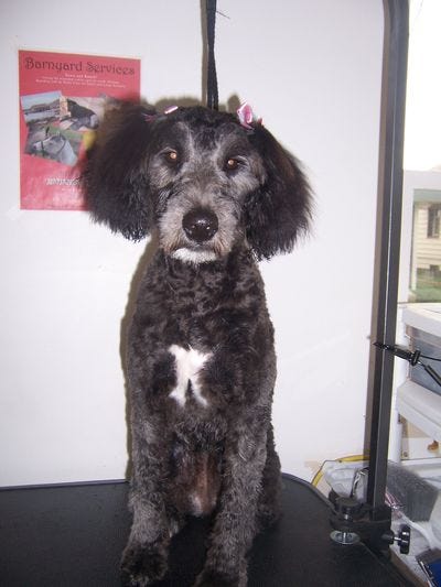 Jazzy After