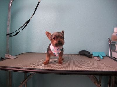 Stitch110311_3