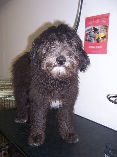 Jazzy Before