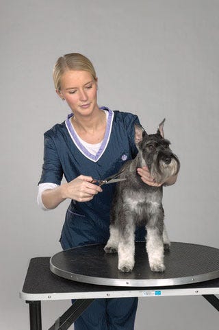 Groomer