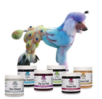 Colorful dog