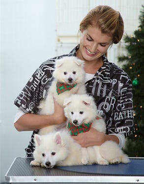 Oct2014_HolidayGrooming_GS blog