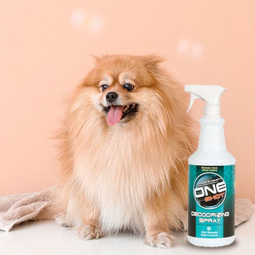 Groomer's Guide to Beating Doggy Odor: Bath Time & Beyond