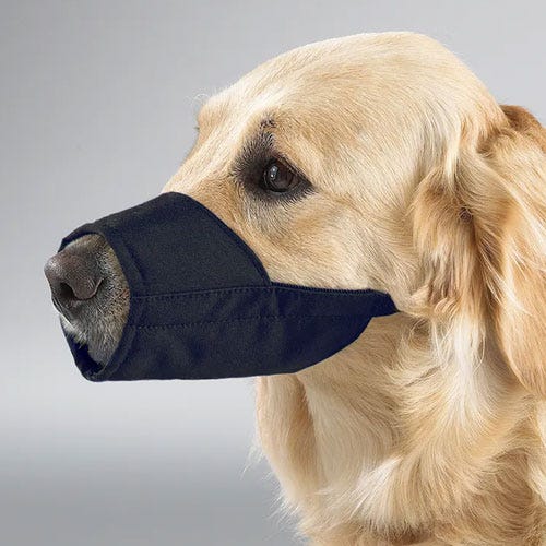 When You Must Muzzle