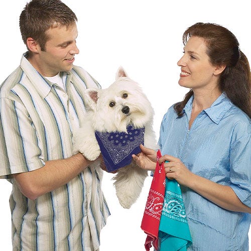 Deciphering Customer Desires
