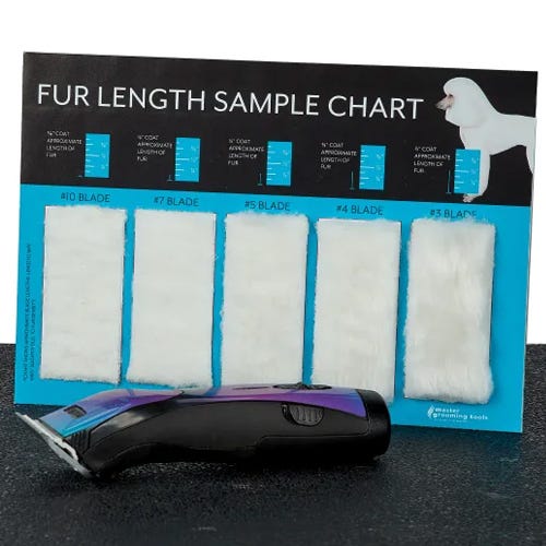 "Short But Not TOO Short" Request in Pet Grooming