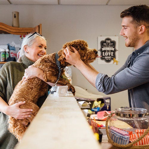 Don't Guess! How to Ask Questions for the Perfect Dog Groom