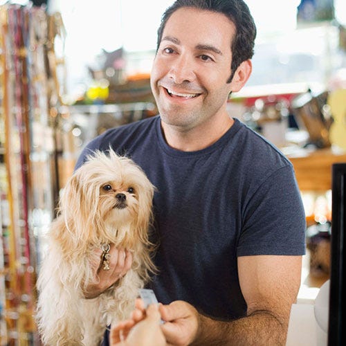 Refusing Service: When to Say No to Matted Dogs (Groomer Guide)