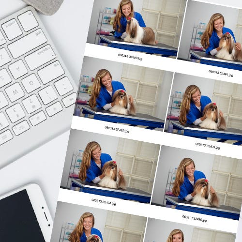 Building a Grooming Portfolio: Showcase Your Skills & Attract Clients