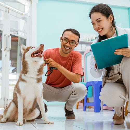 The Blame Game: Handling Post-Grooming Issues and Client Complaints