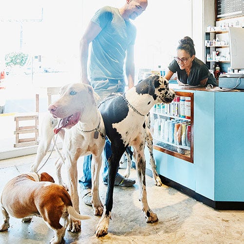 Five Simple Ways to Make Your Grooming Customers Feel Valued