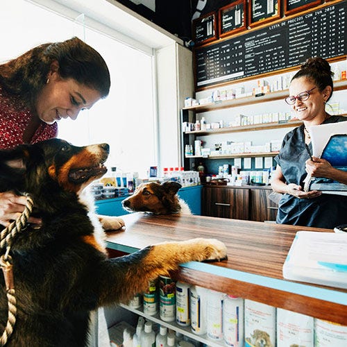 Uncommon Courtesy: Elevating Your Grooming Business with Thoughtful Customer Care