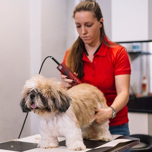 Mastering the Skimming Technique: Grooming Tips for Flawless Finishes