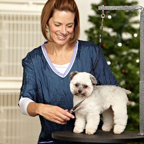 Pre-Holiday Grooming Checklist: Essential Tips for Busy Groomers