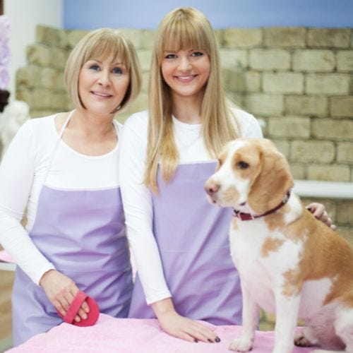 Why Pet Groomer Certification Matters & How to Get Certified