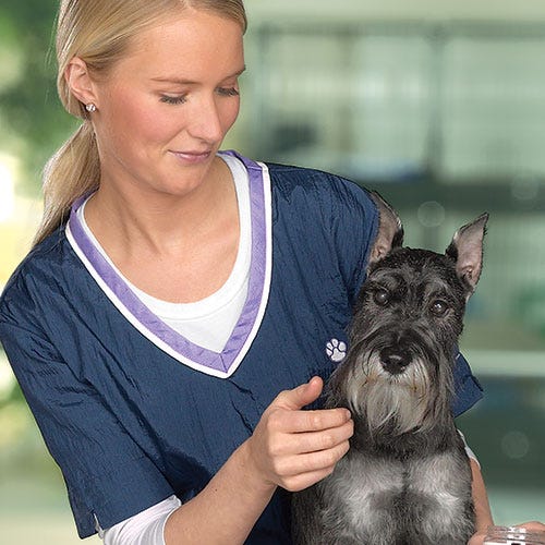 Grooming Dogs with Vision Loss