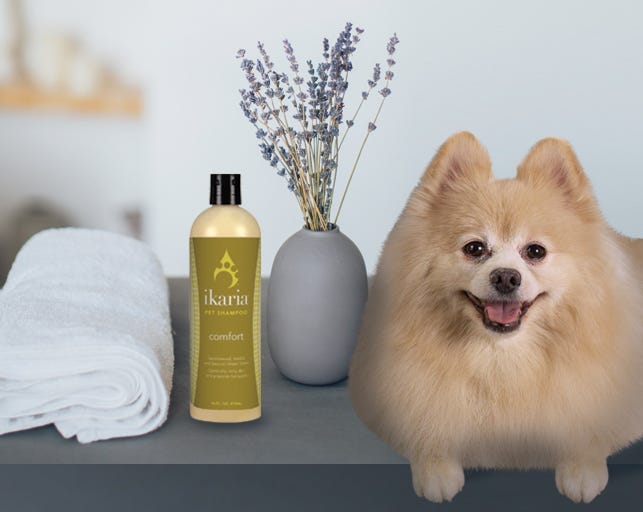 Keeping Pets Calm 