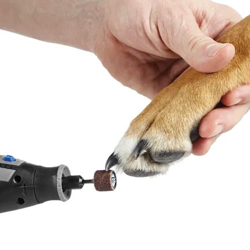 Why Filing Claws is Worthwhile