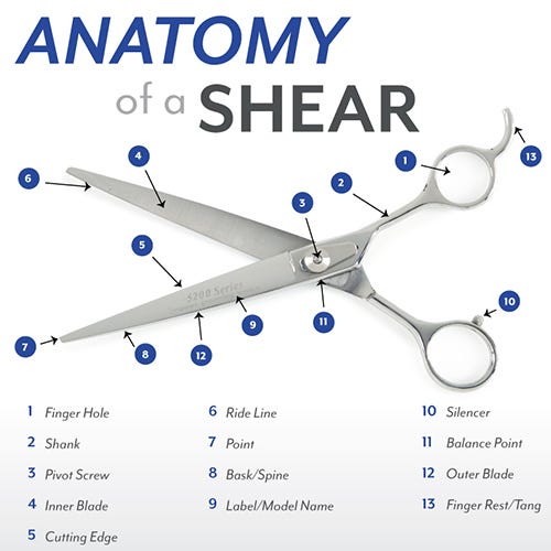 Anatomy of a Grooming Shear