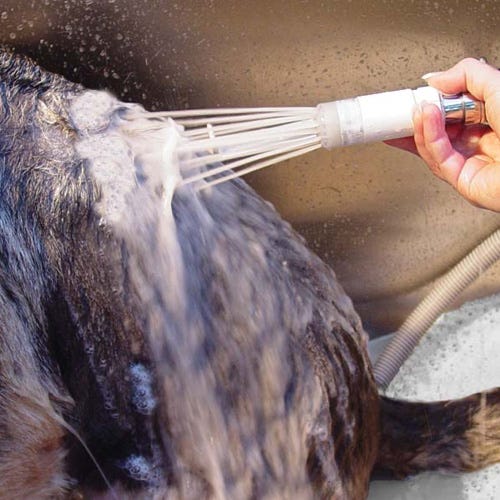How Recirculating Bathing Systems Work