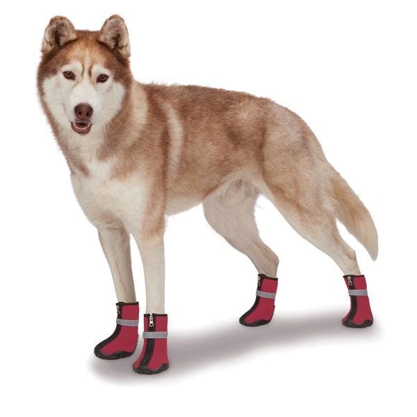 Wholesale Dog Footwear