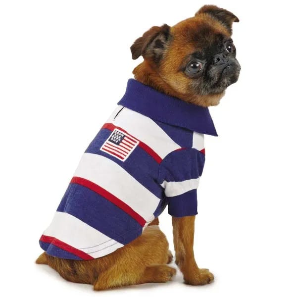 Pet Apparel