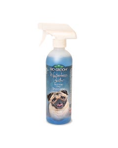 Bio-Groom Waterless Shampoo 16 oz