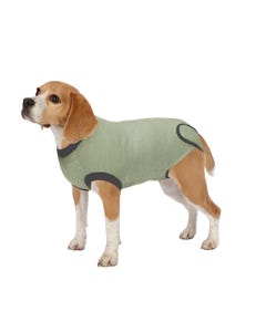 Total Pet Health® Recovery Suit