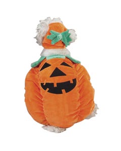 Zack & Zoey Pumpkin Pooch Costumes