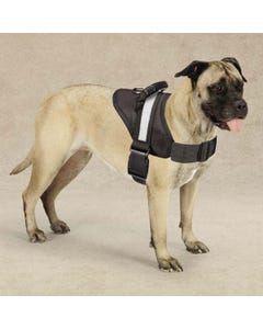 Guardian Gear Excursion Dog Harnesses