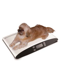 Precision Digital Pet Scale S