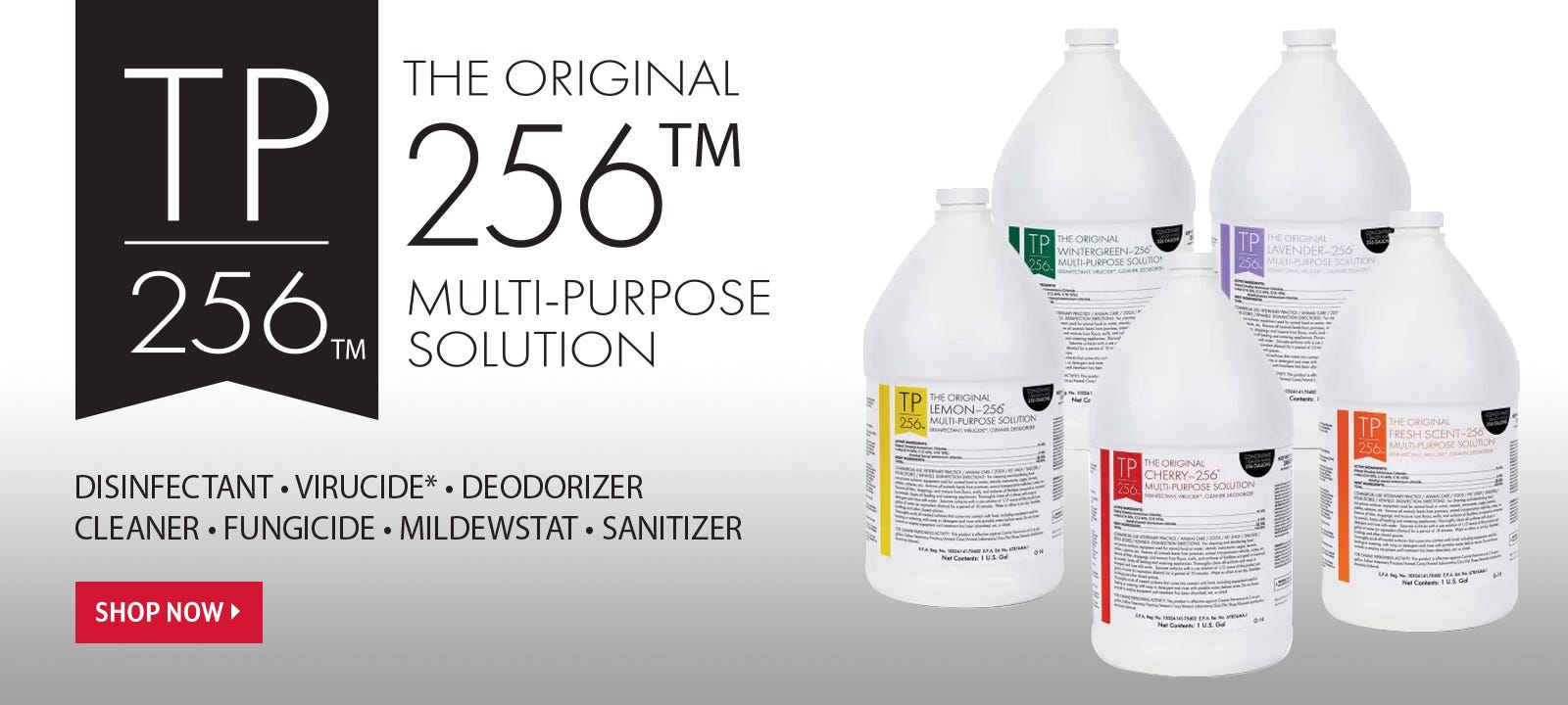 TP256