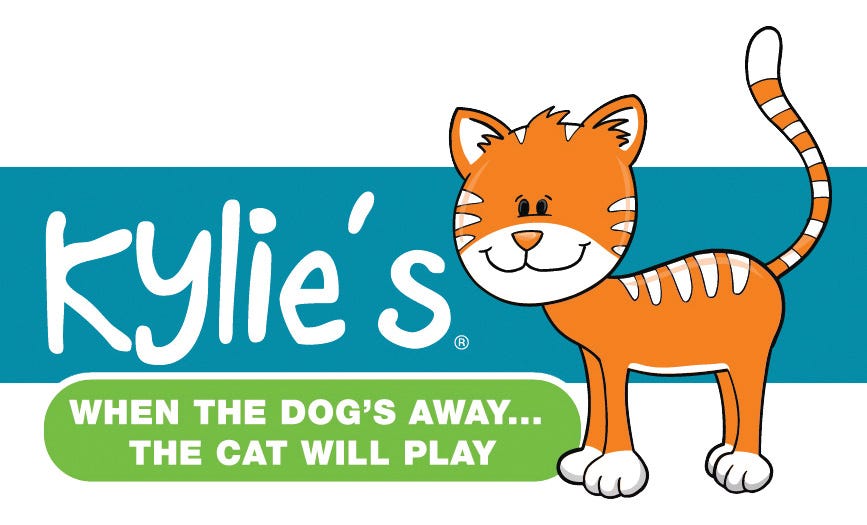 Kylie's Brights Cat Toys